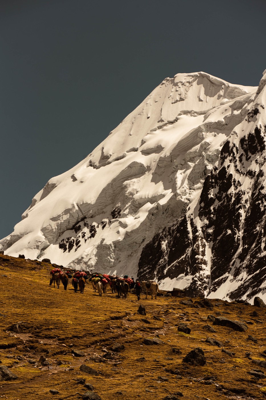 Caballos de carga avanzan bajo una gran pared glaciar del Ausangate.