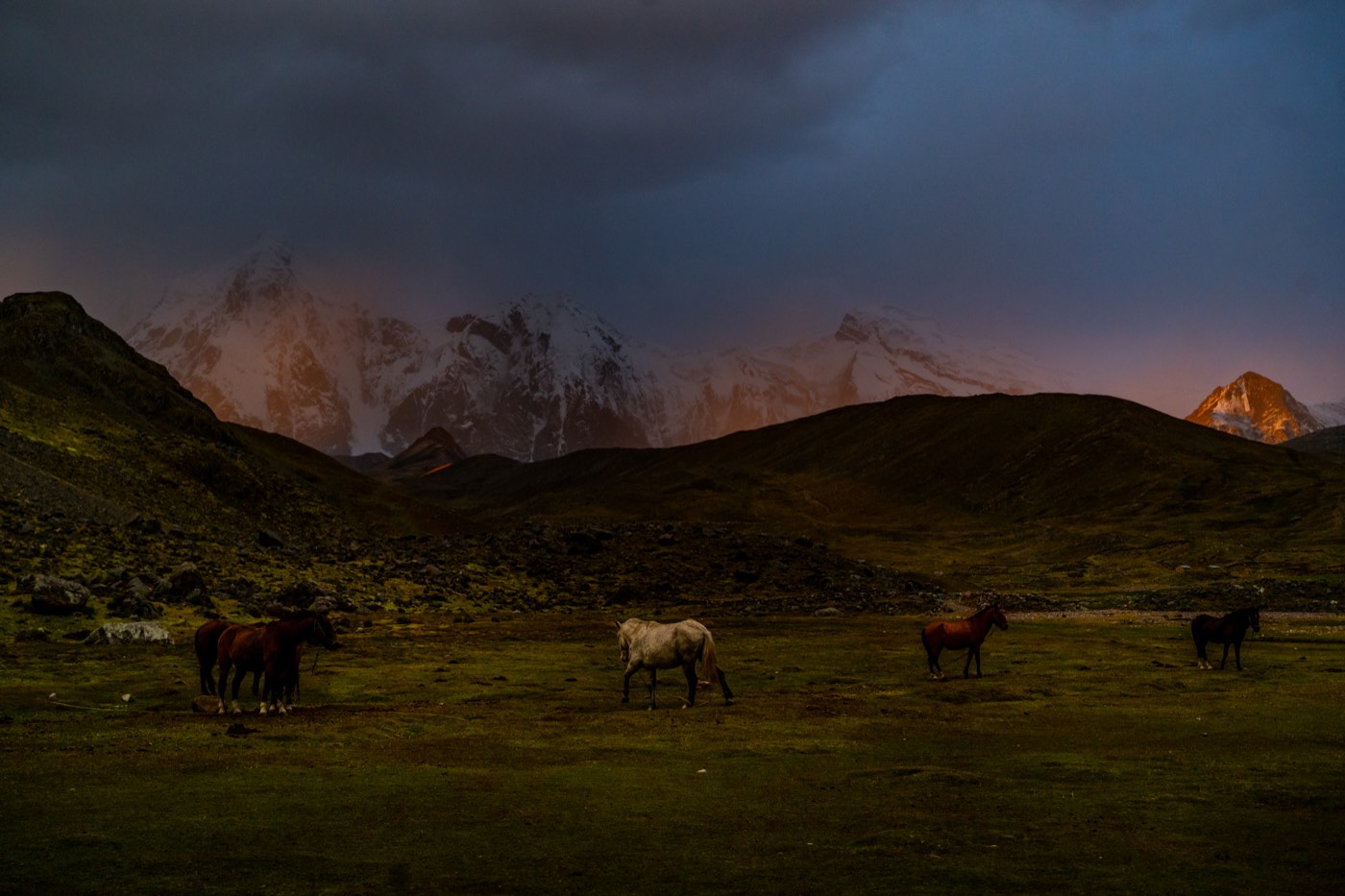 Caballos pastan mientras la primera luz ilumina las montañas del Ausangate.