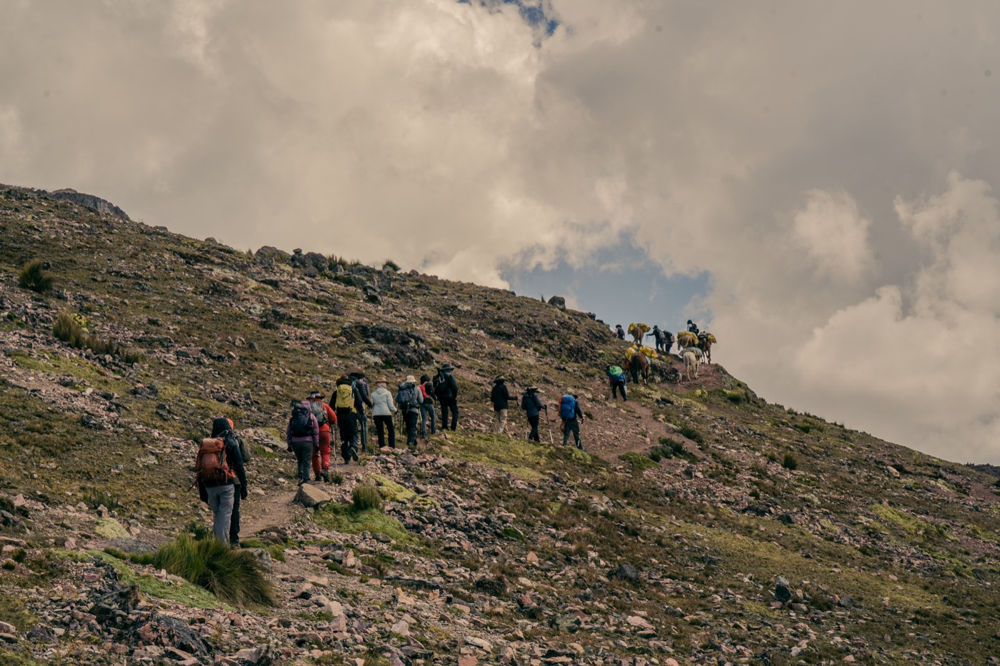El grupo y los caballos de carga ascienden por un sendero de alta montaña.