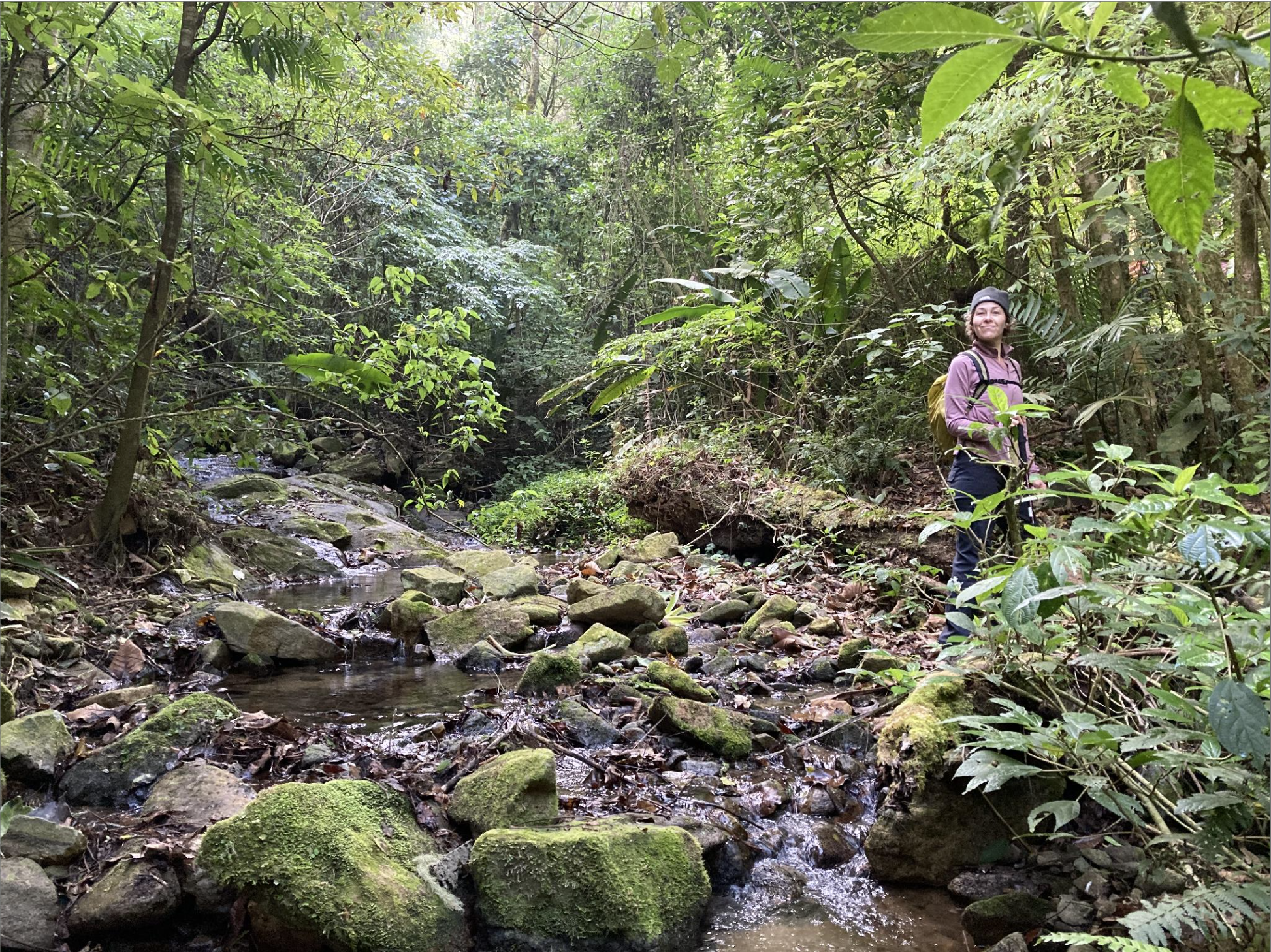 Una caminante junto a un arroyo entre rocas cubiertas de musgo y vegetación del bosque.