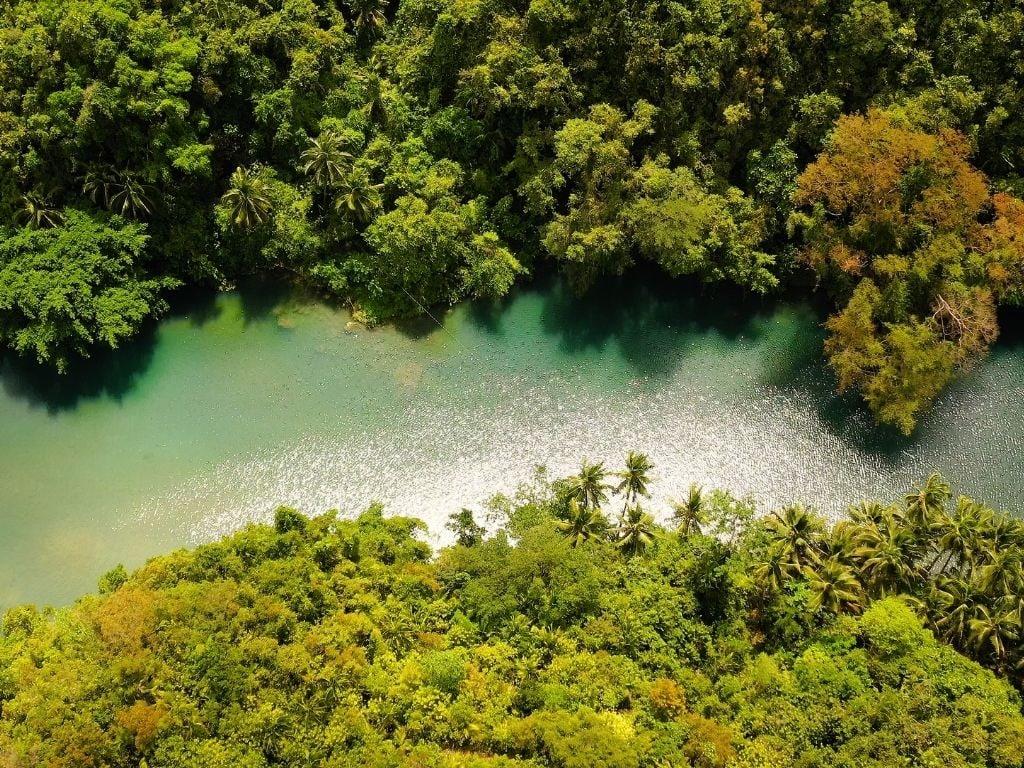 Laguna turquesa entre la selva
