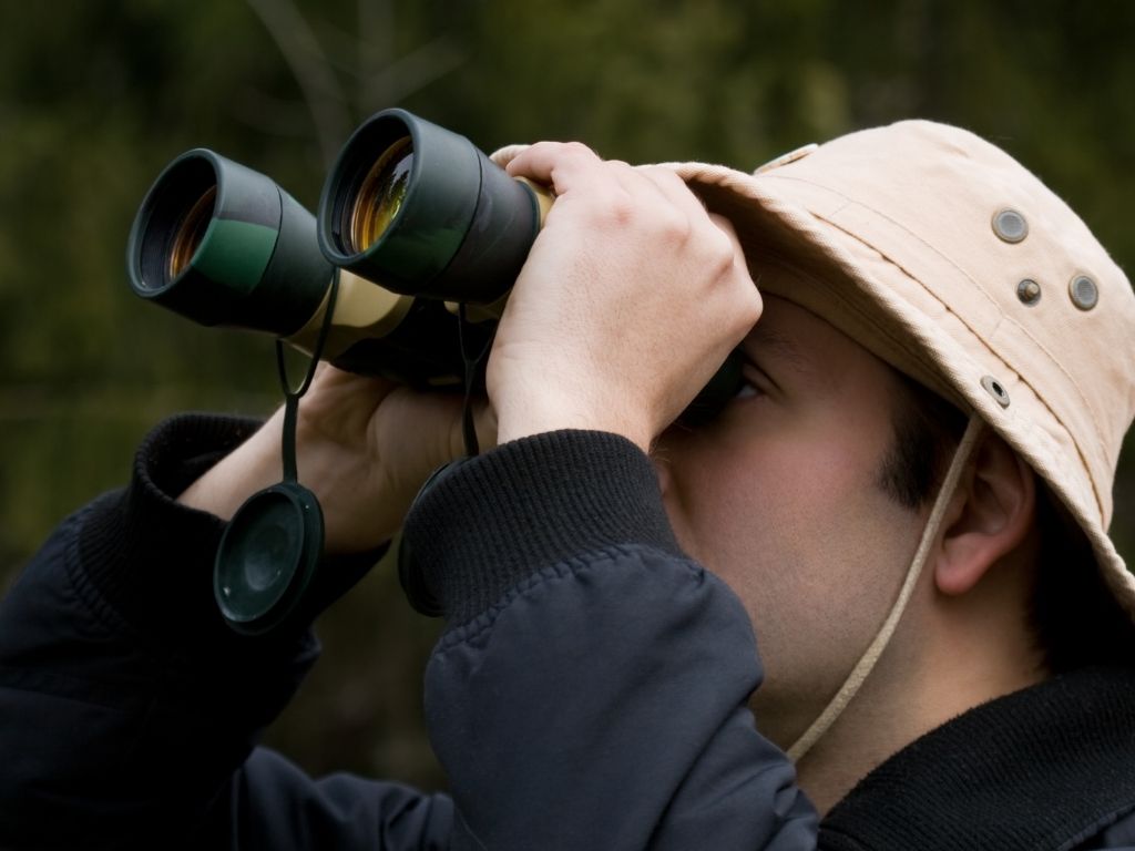 Observación de aves con binoculares