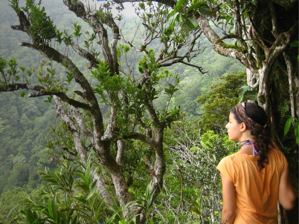 Caminata entre árboles de la selva