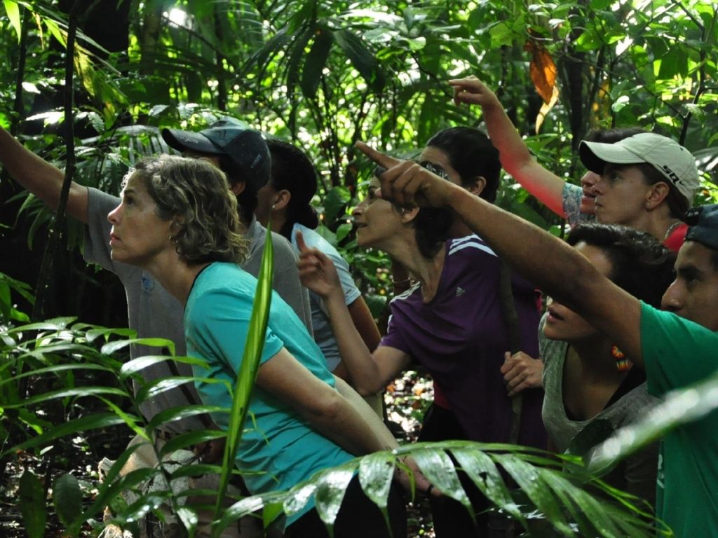 Recorrido y observación en la selva