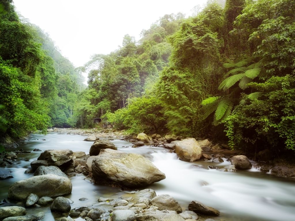 Río entre rocas