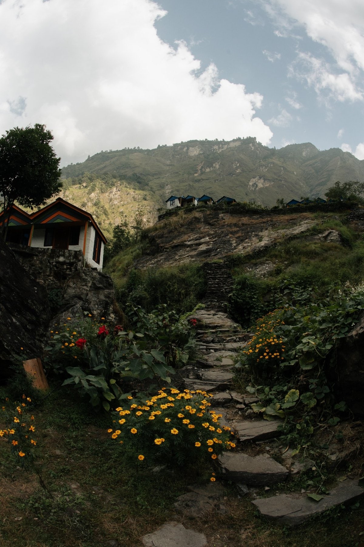 Sendero de piedra entre flores y montañas