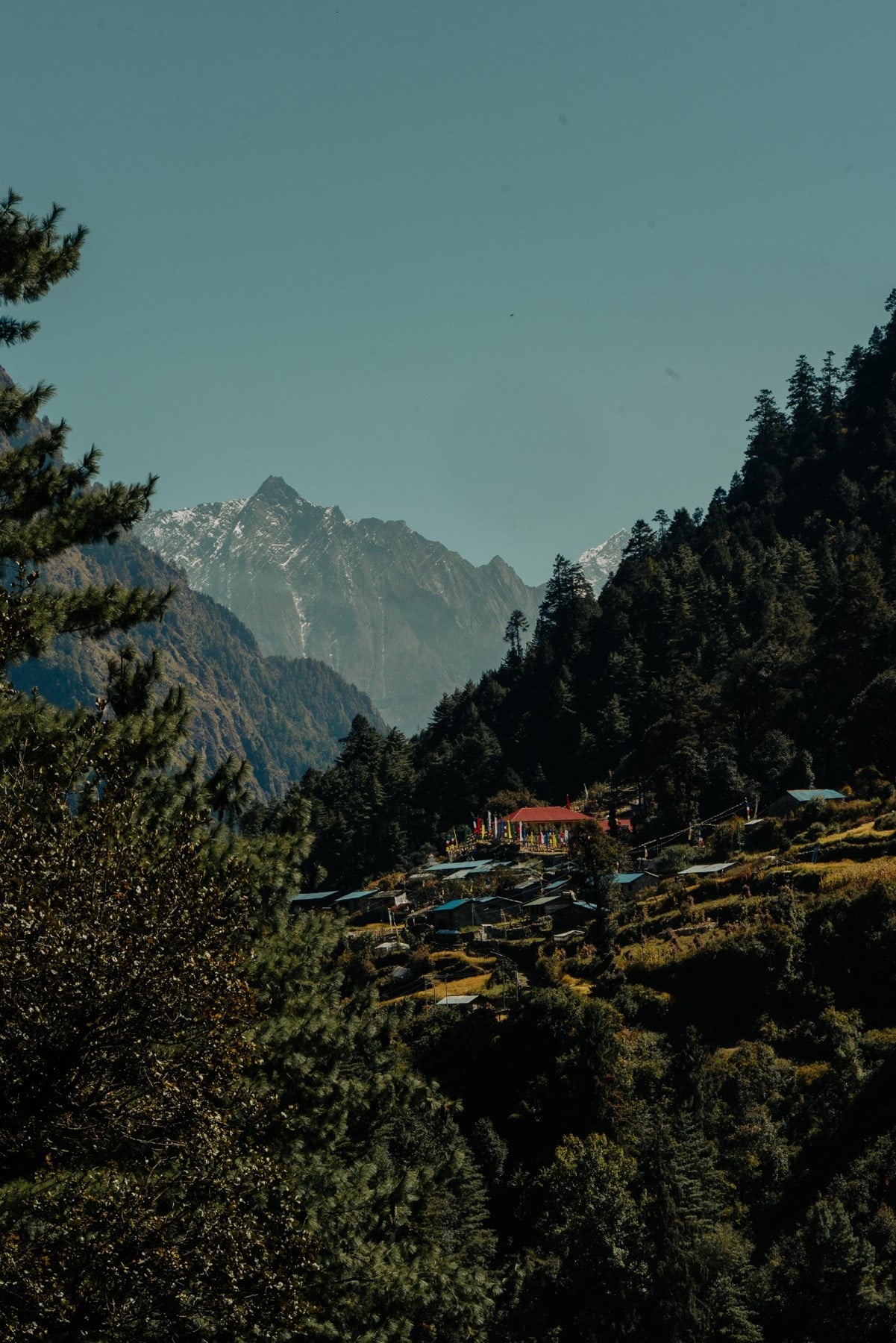 Casas entre bosques y montañas