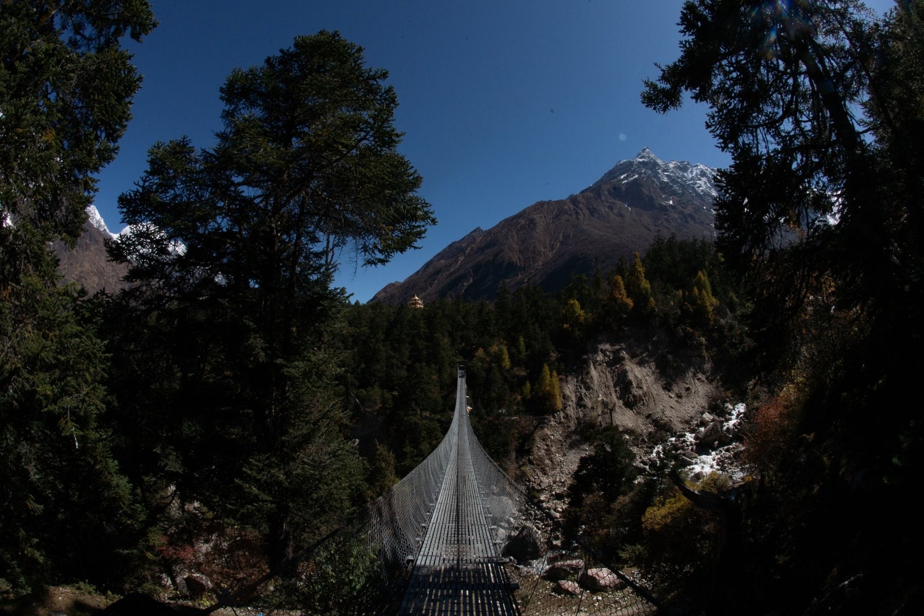 Puente colgante entre árboles y roca