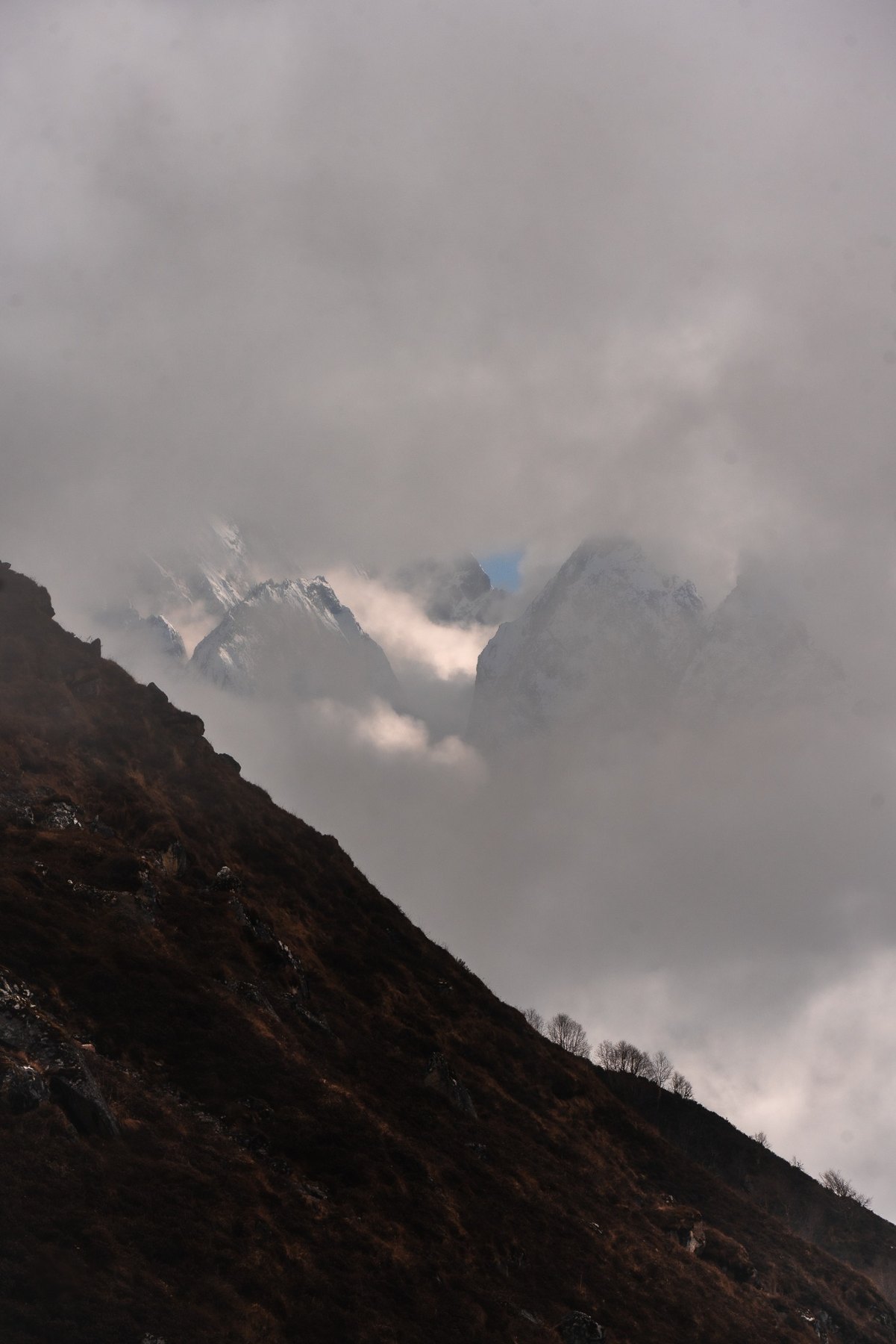Montañas que emergen entre la niebla