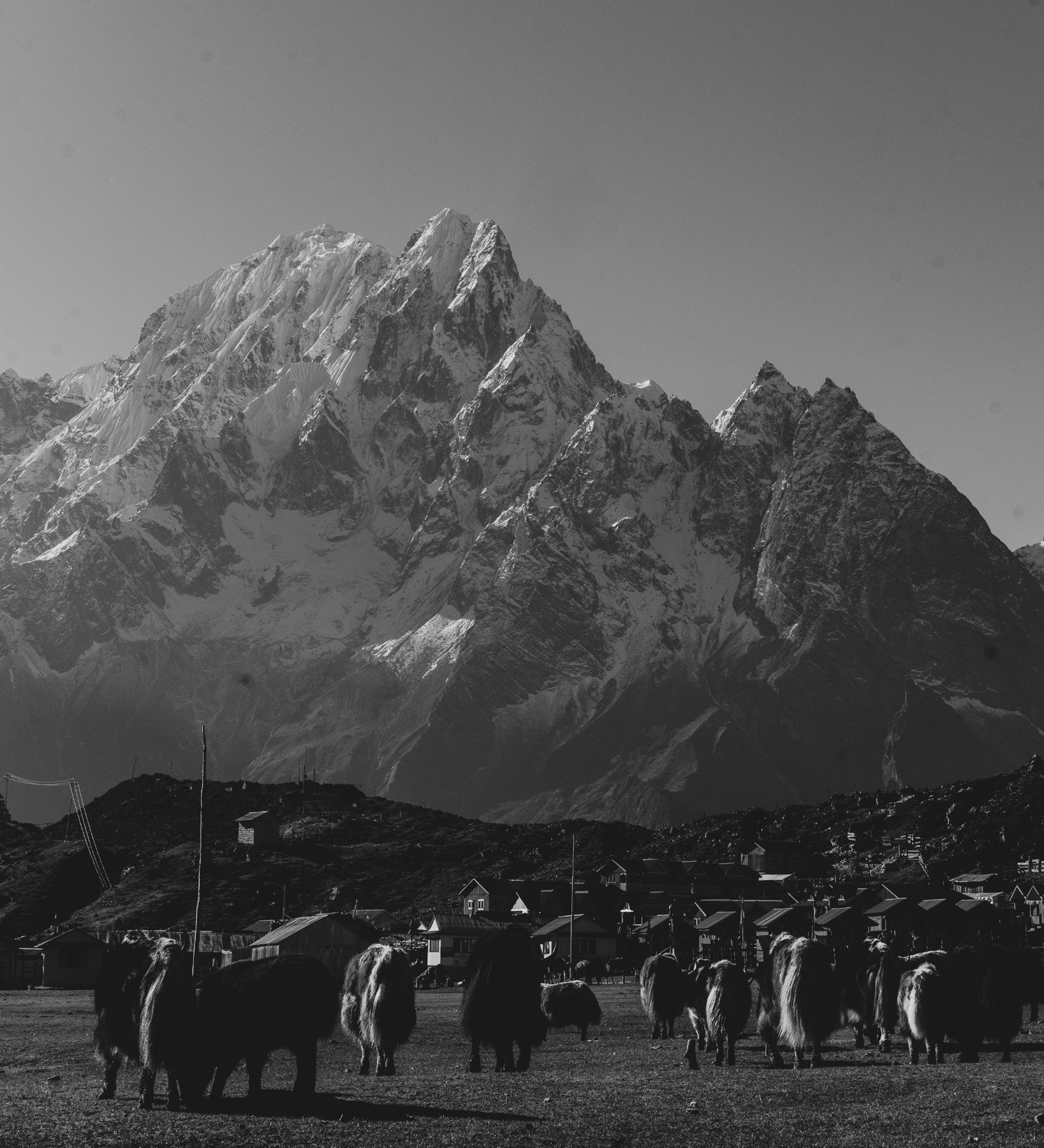 Grupo al pie de las montañas, en blanco y negro
