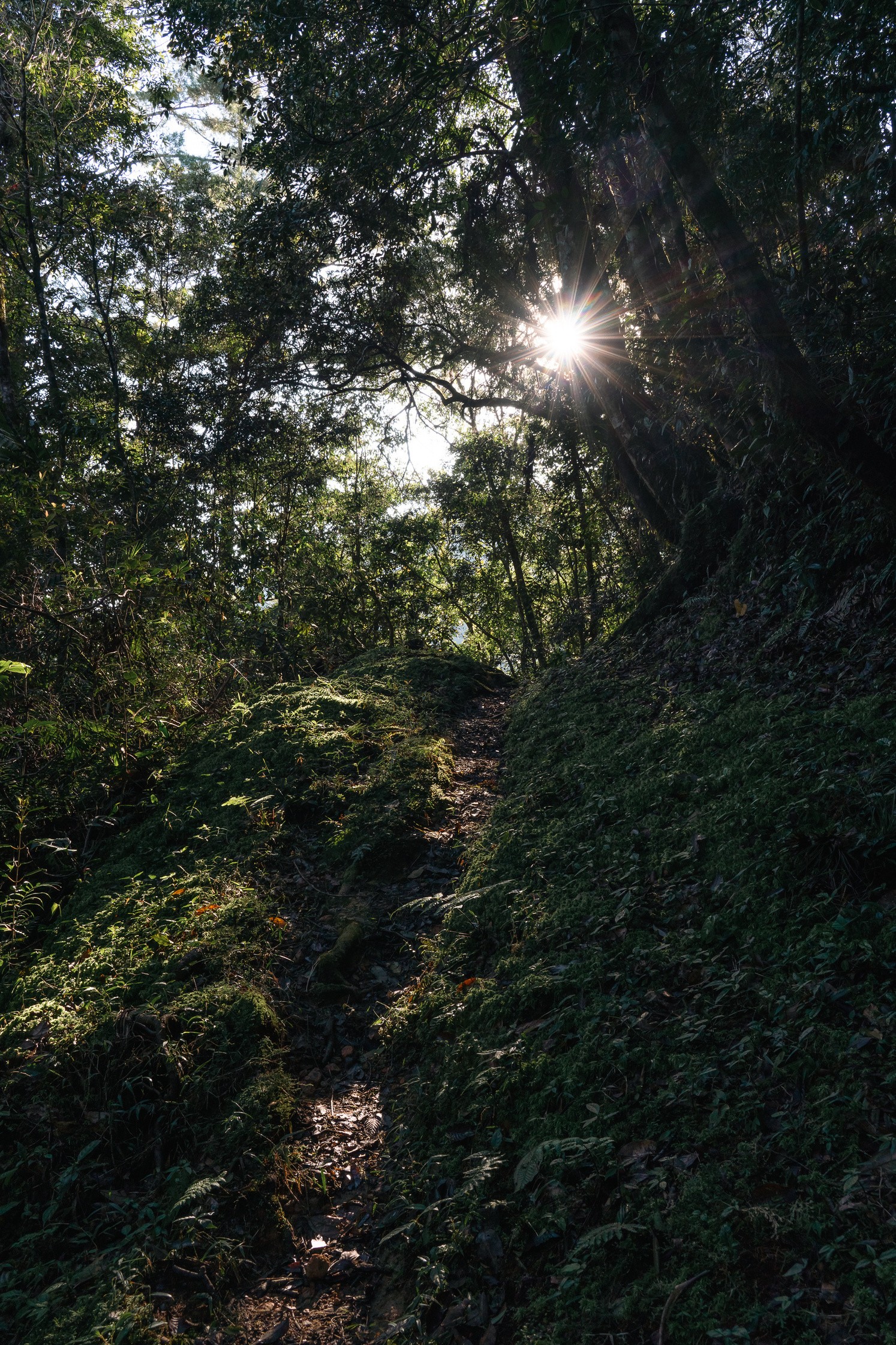 Naturaleza y memoria del camino
